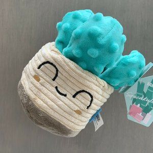 Bark Box Succulent Medium Dog Toy Teal Cactus New